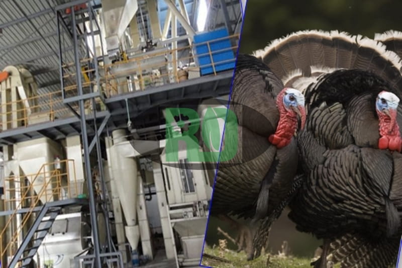 South American Project