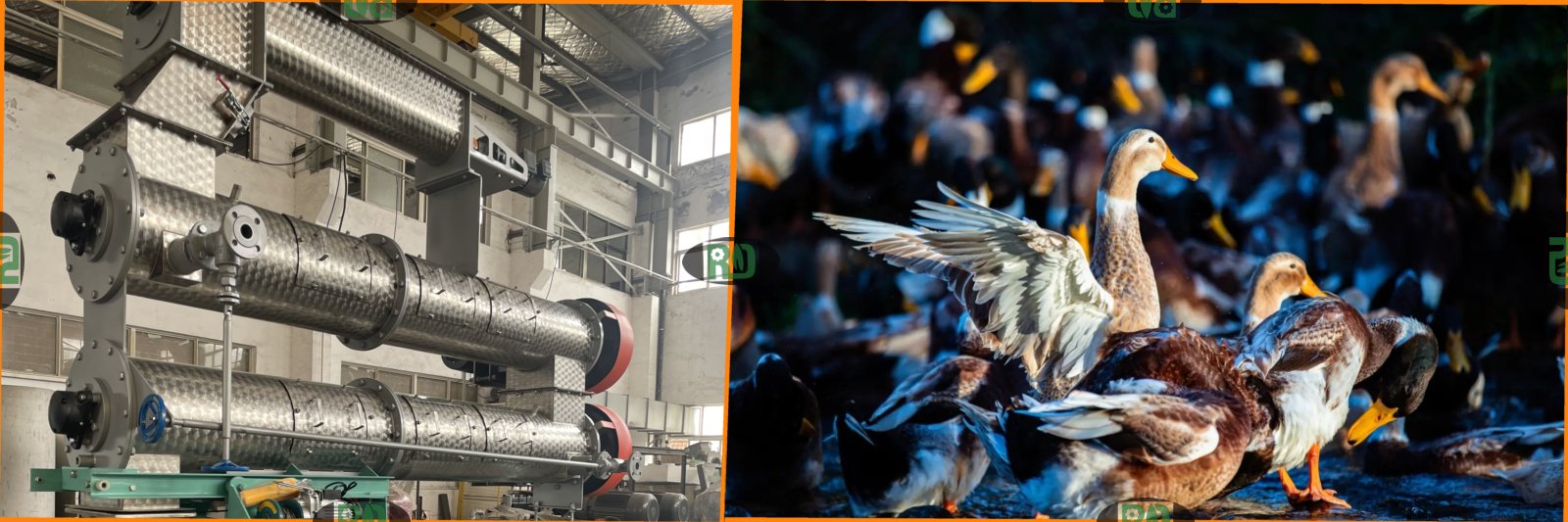 Poultry feed hammer mill crushing equipment and technology for efficient feed material processing