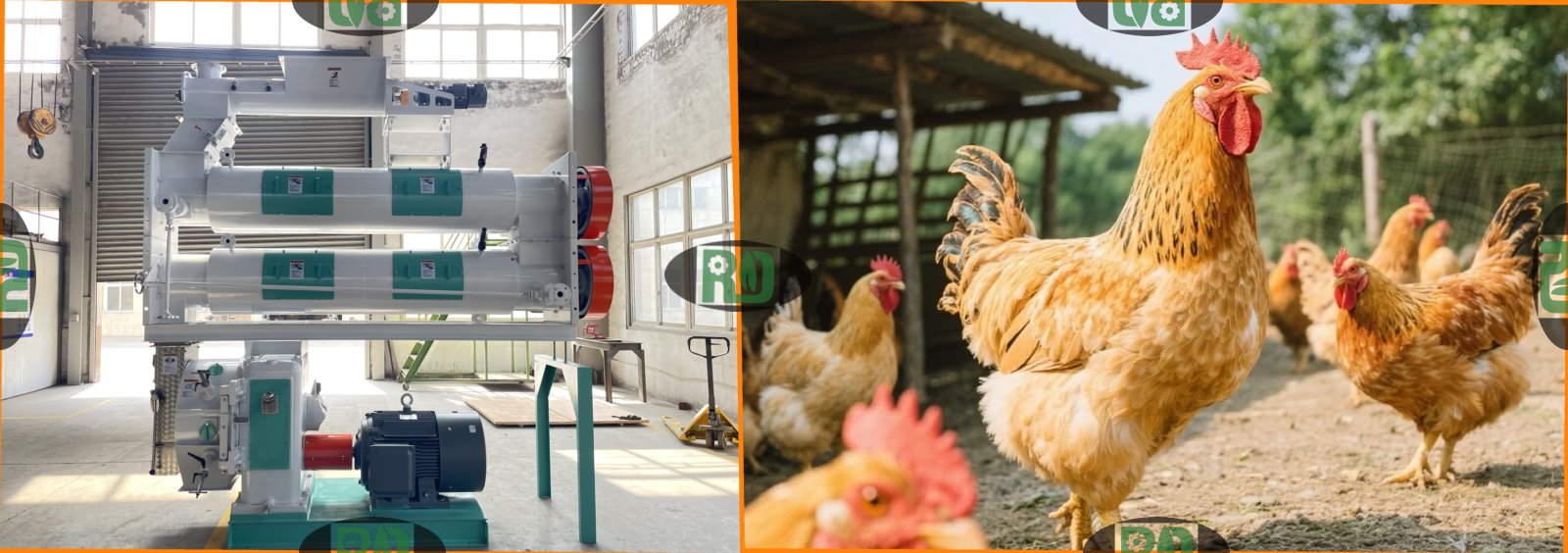 Ring die poultry chicken feed pellet mill maintenance and operation guide showing proper lubrication and wear inspection