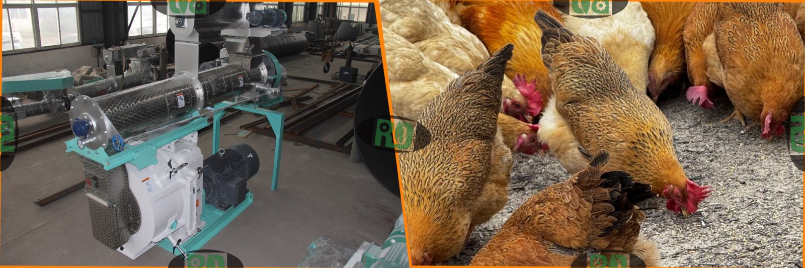China factory price animal feed pellet machinery in Kenya for chicken feeds manufacturing