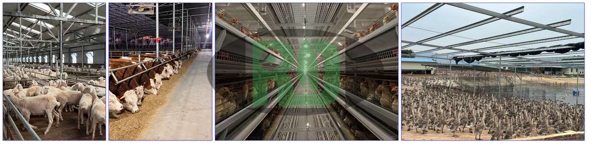 Horizontal Ring Die Feed Pellet Mill in Production