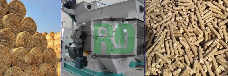 Rongda Machinery Biomass Pellet Production Line Equipment