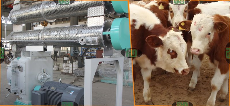 5T/H Cattle Feed Manufacturing Plant Production Line with Advanced Pelletizing Equipment