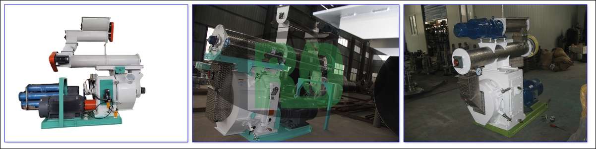 Horizontal ring die feed pellet mill for large-scale feed production