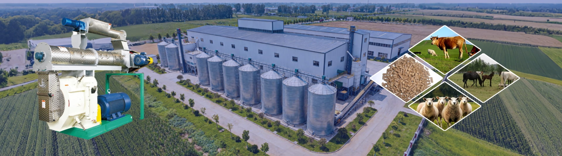 Advanced Biomass Pellet Production Line Solutions