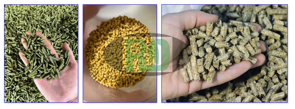 Raw Material Processing with Horizontal Ring Die Feed Pellet Mill