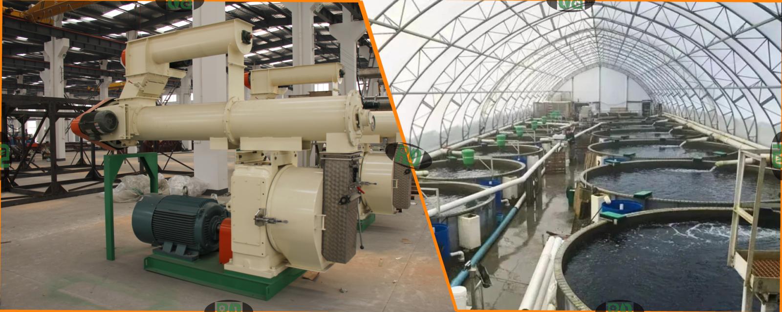 Fish feed pellet production machine for Nigeria aquaculture 100kg/h-20t/h capacity