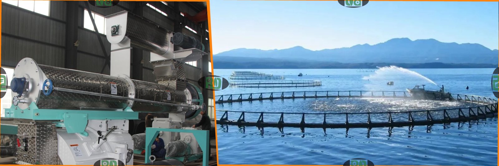 Design of 3-5TPH aquatic floating fish extruded feed plant in Uzbekistan