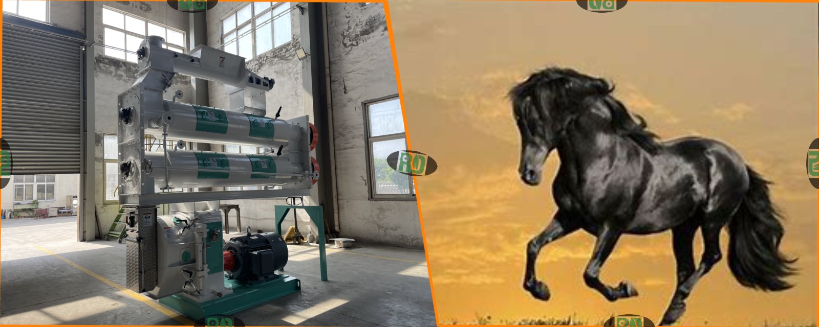1-20 TPH horse feed pellet production line equipment recommendation