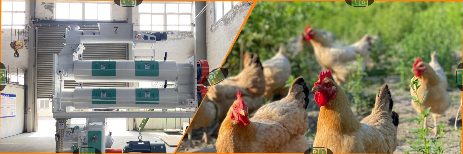 Manufacturer price 300-400kg/h small animal poultry chicken feed pellet mill for sale