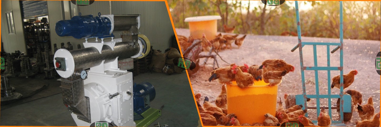 Best price animal feed pelletizer machine for 1-30t/h poultry feed pelletizing plant