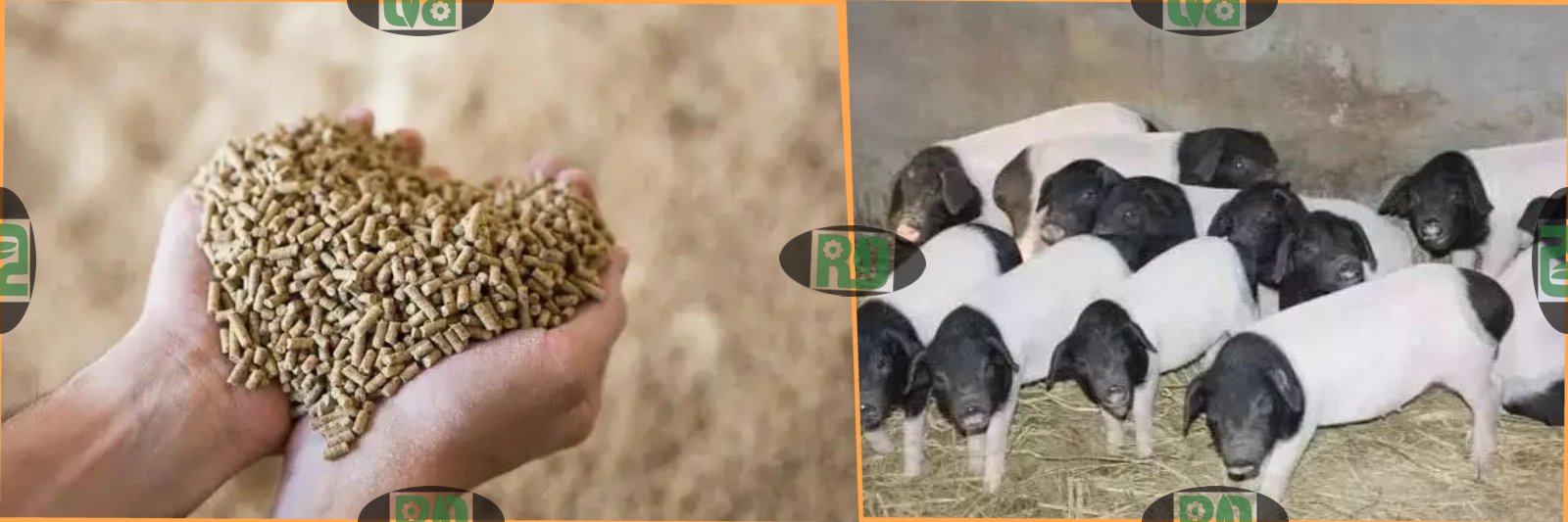 Pig Feed Pellet Production Line Solutions