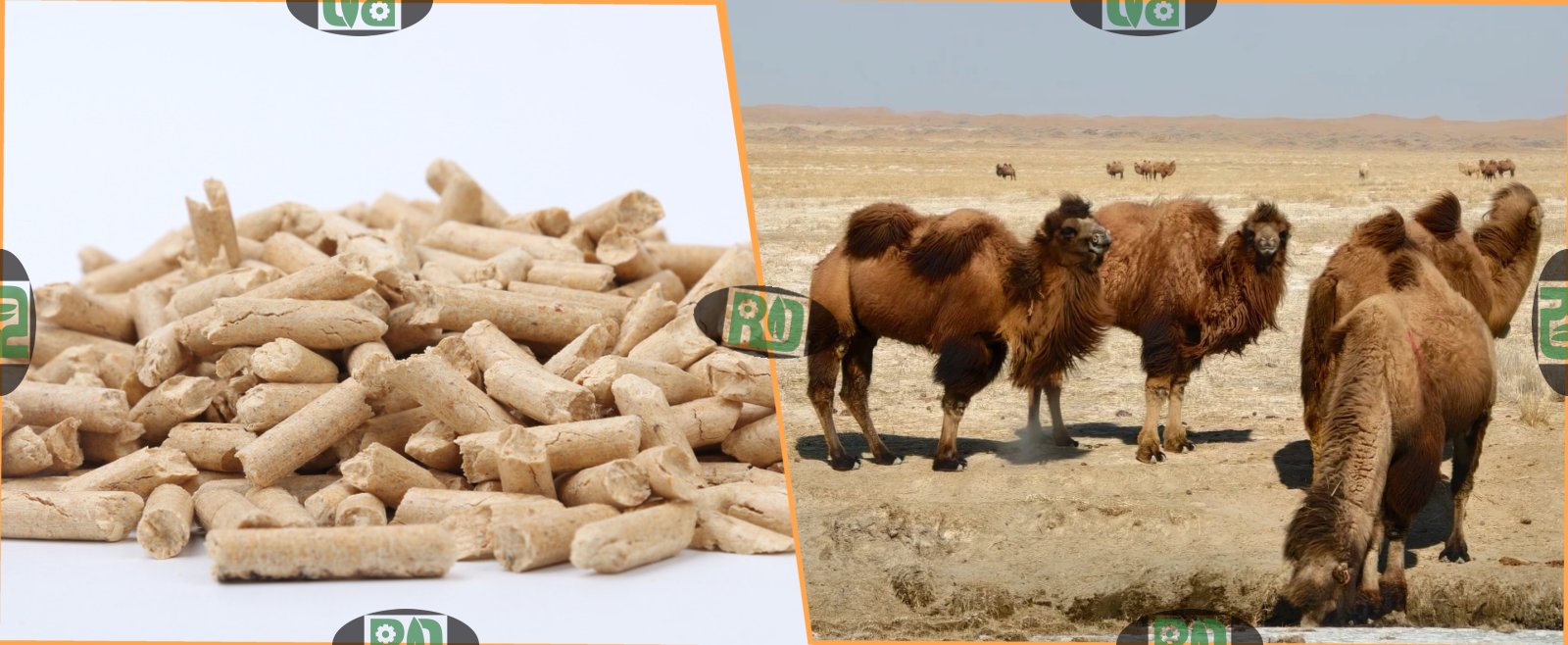 Camel Feed Production Line