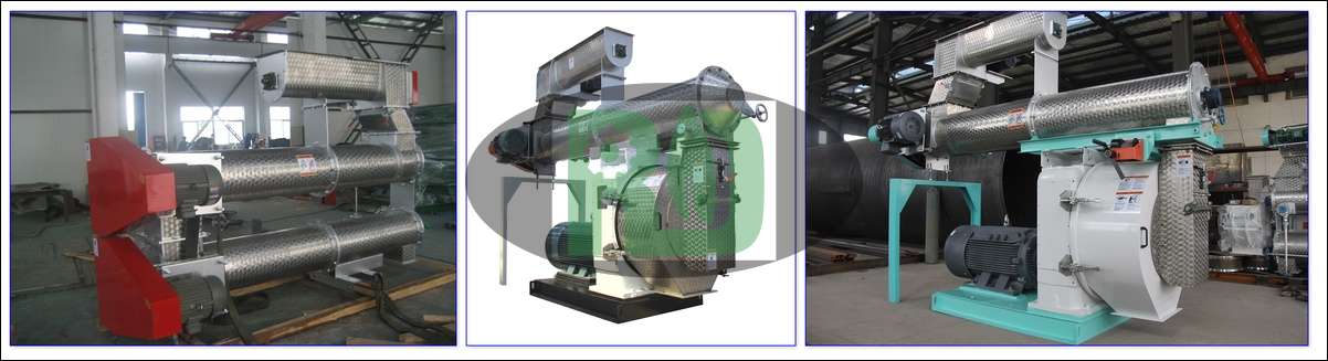 Horizontal Ring Die Feed Pellet Mill for Poultry Feed