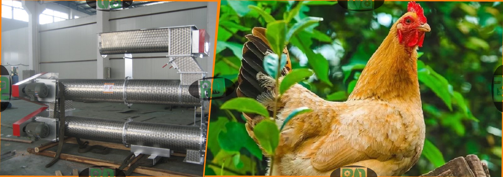 1-3TPH poultry chicken farming equipment for producing poultry pellet feeds