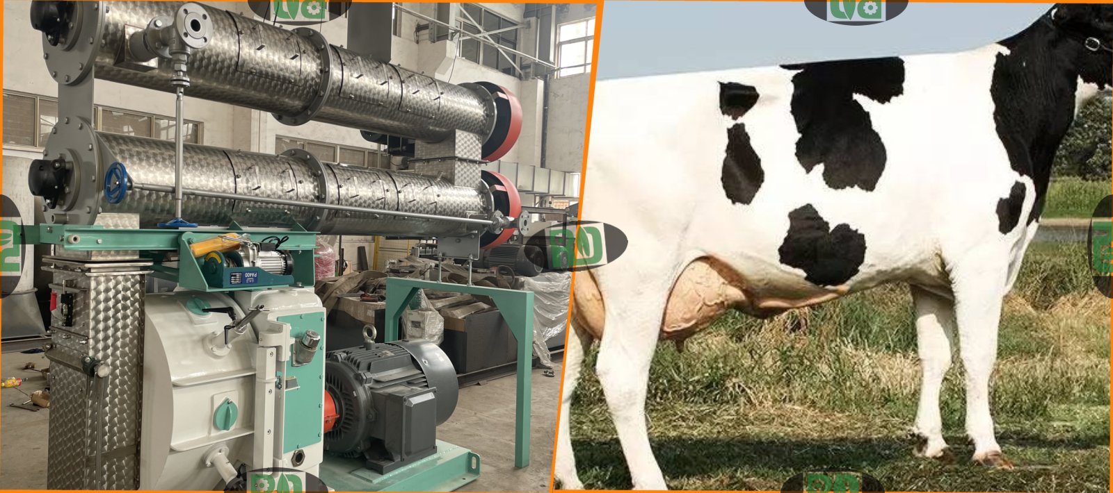 Small scale cattle feed pellet processing plant 1-2 tons per hour capacity