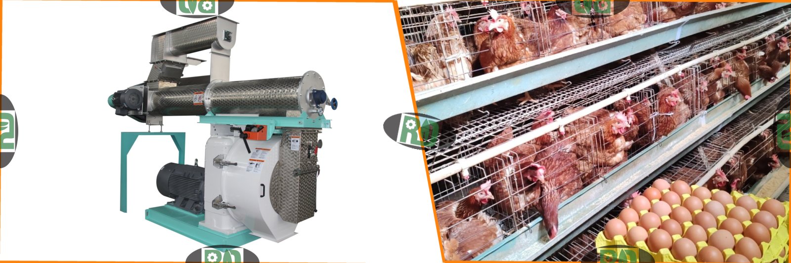 RD 420 poultry feed ring die pellet mill with manufacturer price for poultry mash feed production