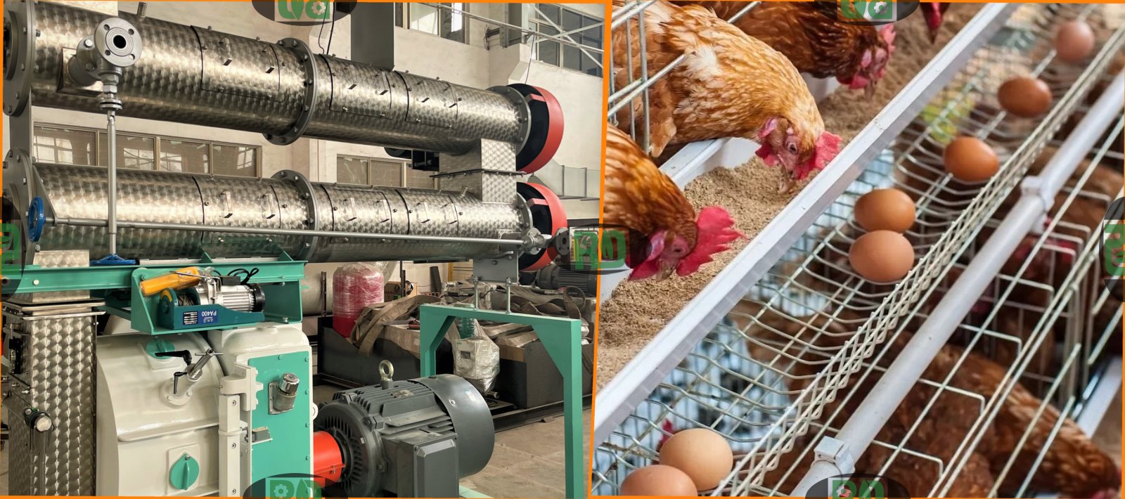 Poultry feed hammer mill troubleshooting and maintenance