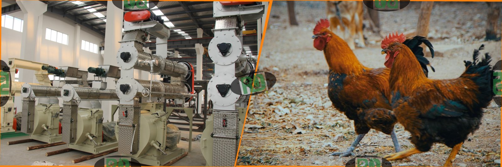 30t/h automatic complete poultry broiler feed pellet line with reasonable price