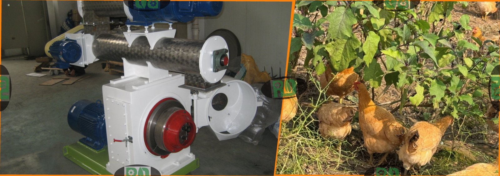 Broiler pellet feed production line equipment with compound feed processing technology