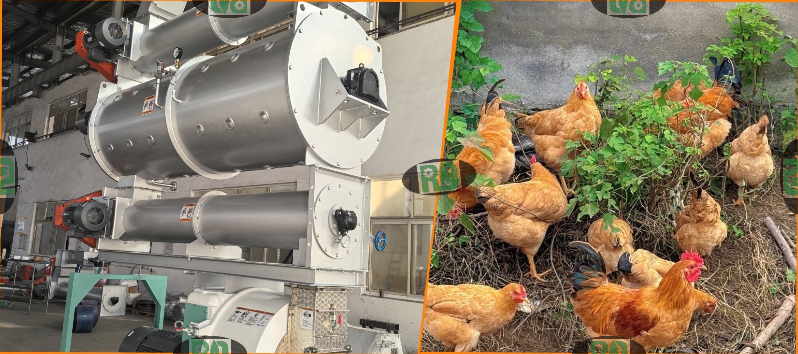 Complete poultry chicken feed pellet production line for business startup