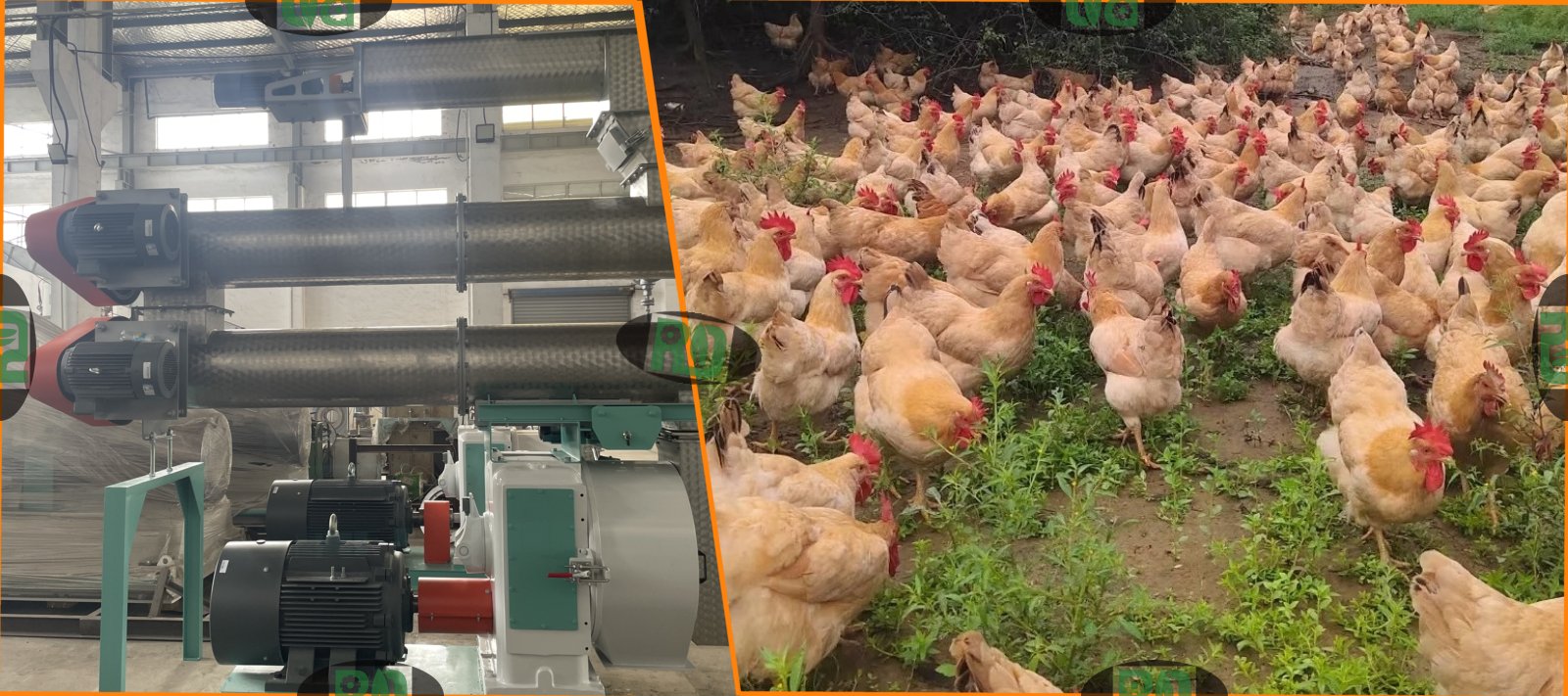 Small farm poultry feed mill pellet machinery with feed pellet durability and quality control