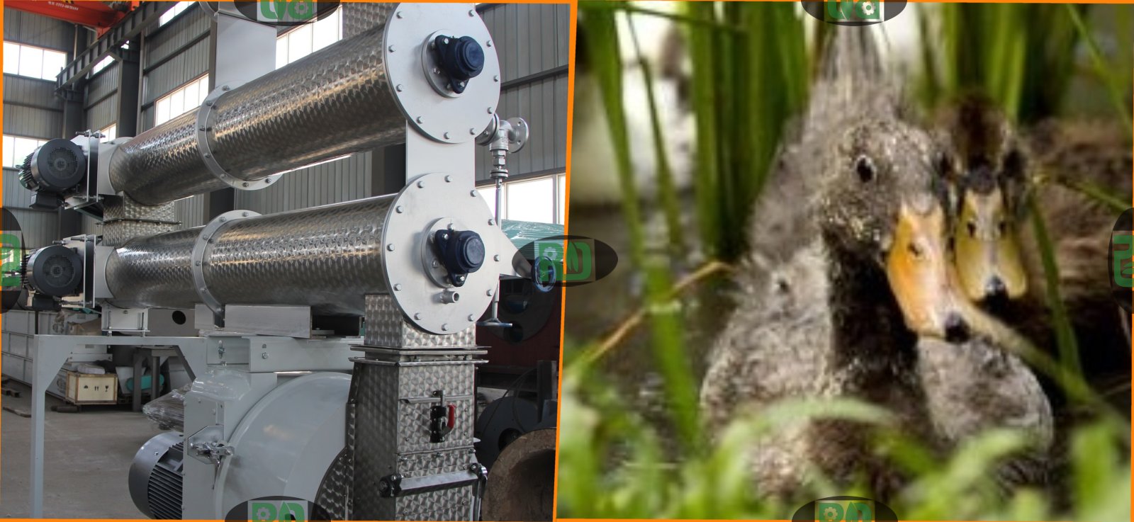 Factory price poultry feed pellet making machine from poultry feed plant pellet mill manufactures