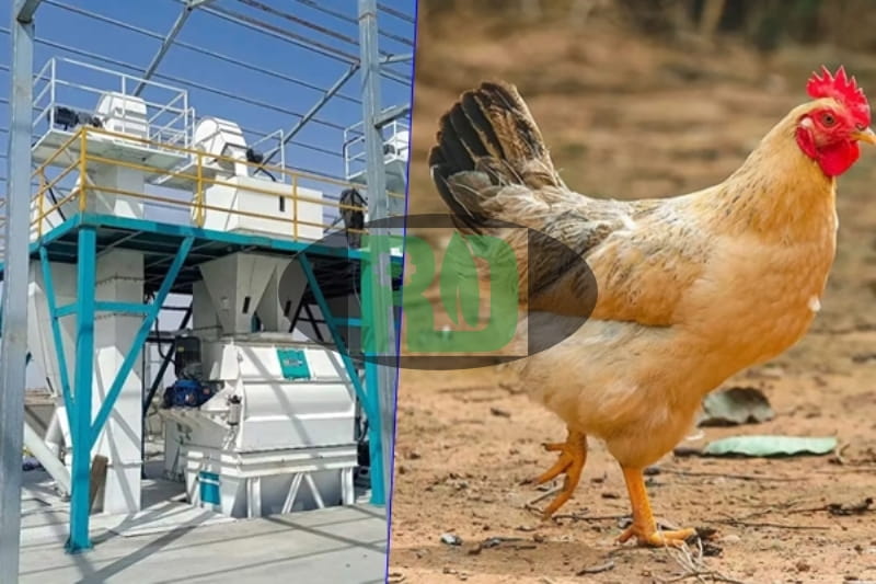 Uzbekistan Case Image