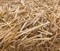 Wheat Straw