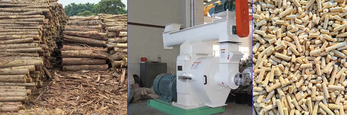 Rongda Machinery Wood Pellet Production Line Equipment