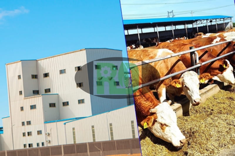 South Africa Case Image