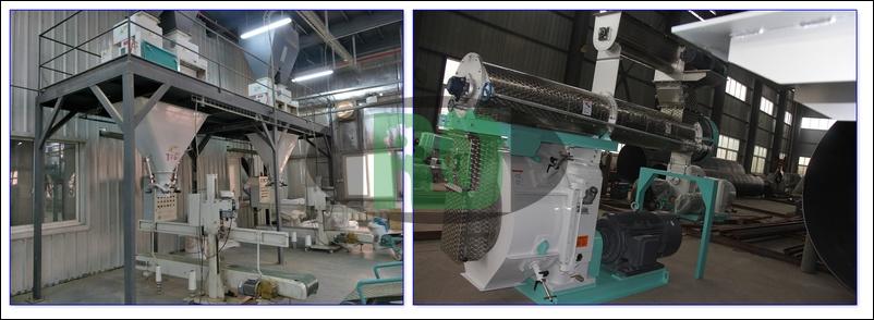 Pig Feed Pellet Production Line Customization Principles