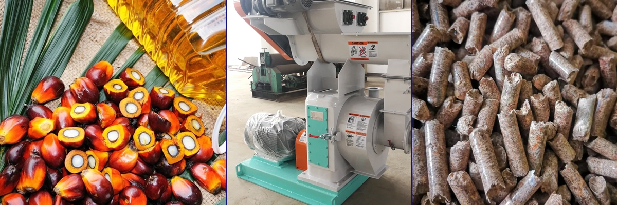 Rongda Machinery Palm Kernel Shell Pellet Production Line Equipment