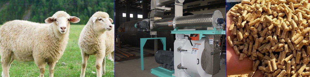 Rongda Machinery Sheep Feed Pellet Production Line Equipment