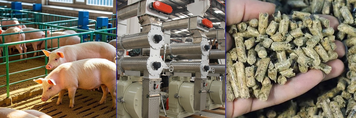Rongda Machinery Pig Feed Pellet Production Line Equipment