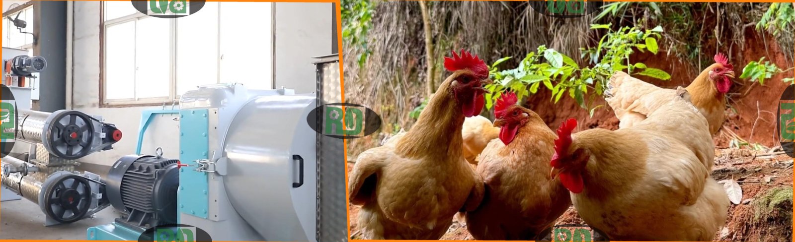 Best crushing size for broiler feed