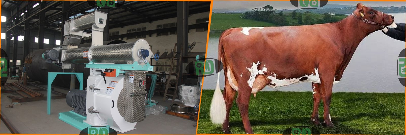 Animal cattle poultry cow fish feed hammer mill for sale