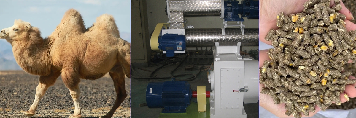 Rongda Machinery Camel Feed Pellet Production Line Equipment