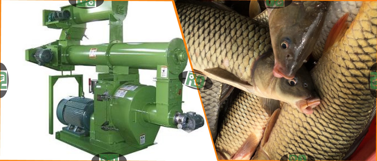 Aquatic feed pellet production with proper moisture control