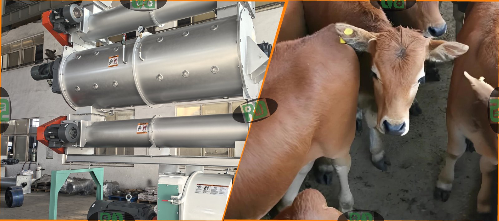 Impact of pulverized grain size on livestock and poultry feed