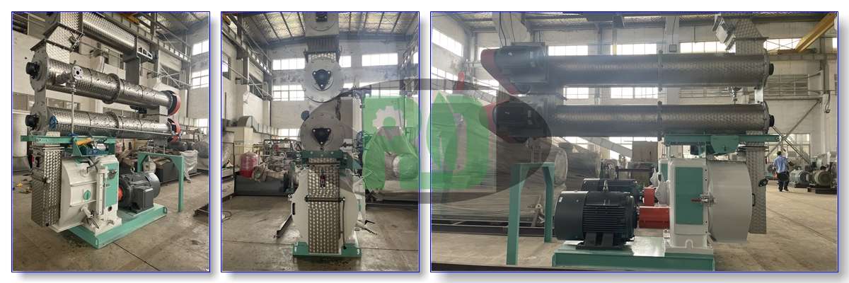 Biomass Pellet Mill Equipment Display