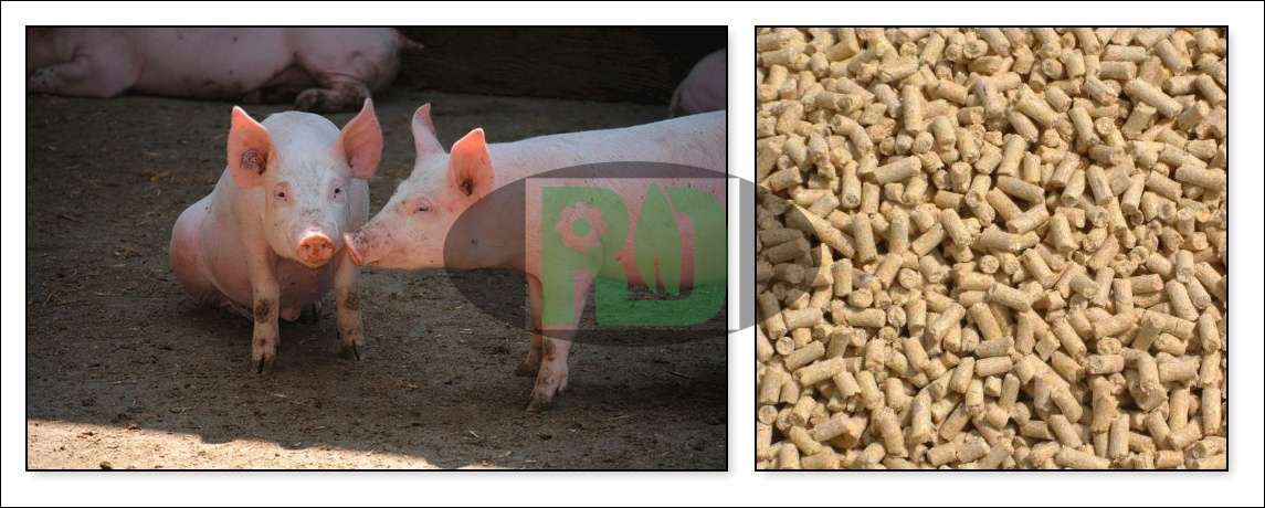 Customized Feed Pellet Production Line for Pig Farm