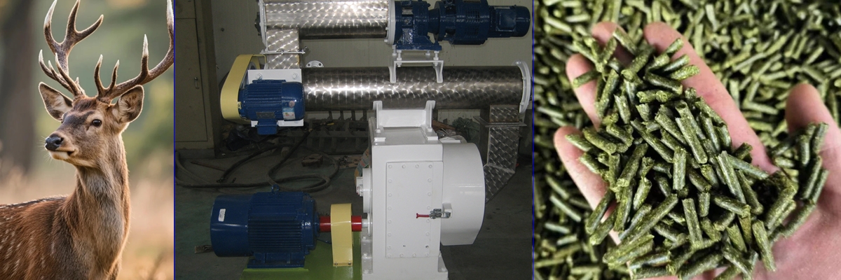 Rongda Machinery Cattle Feed Pellet Production Line Equipment