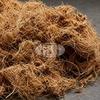 Palm Fiber