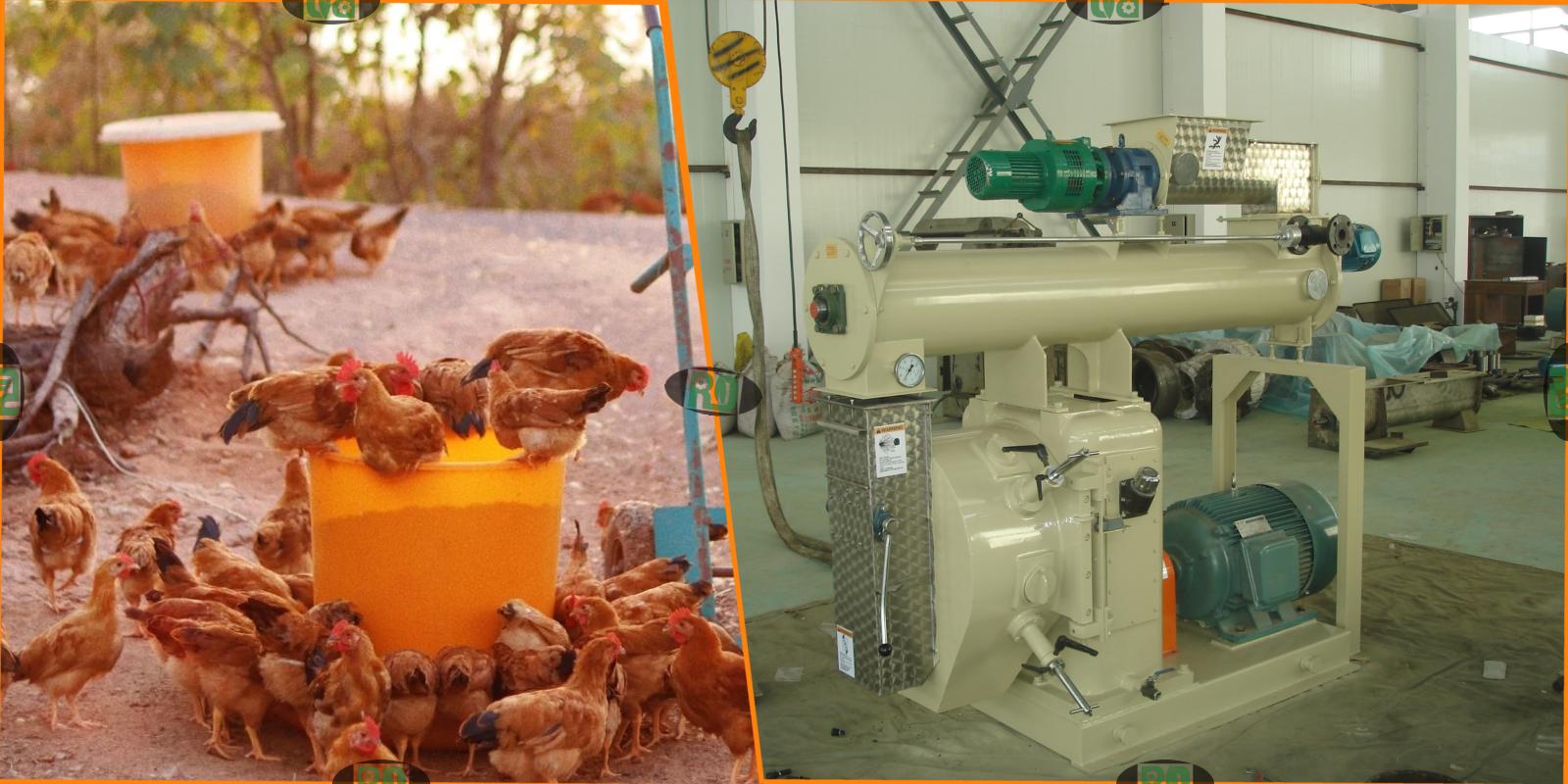 10t/h Chicken Feed Production Line Professional Animal Feed Plant