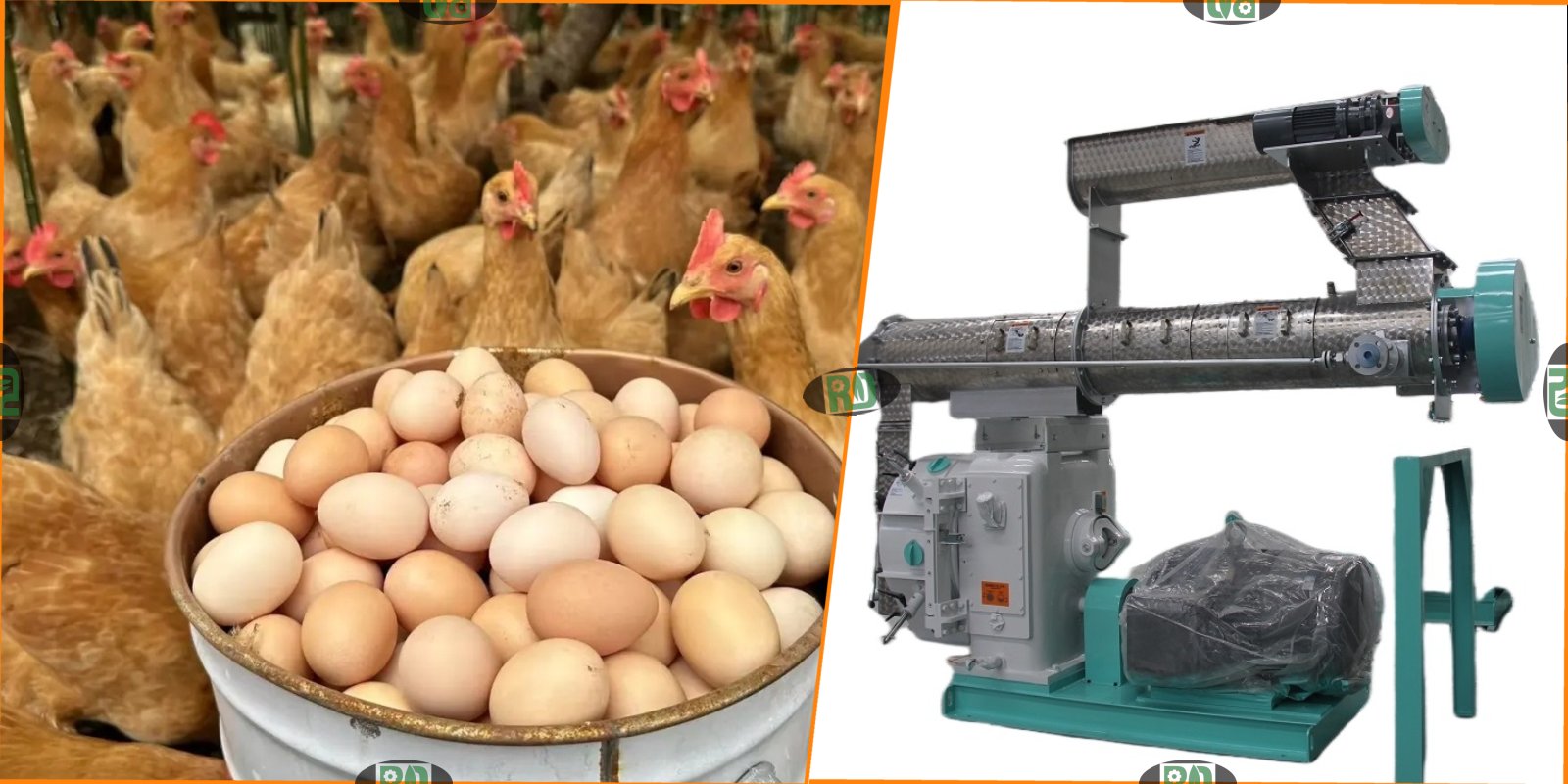 100t_h Large Scale Commercial Poultry Feed Mill Plant Full Project Report