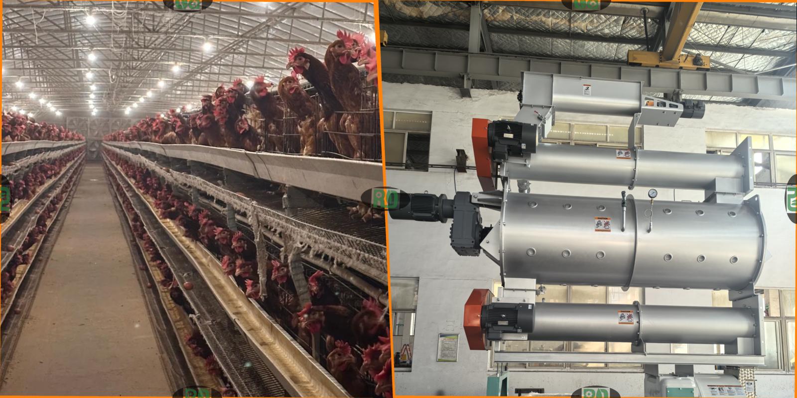 Poultry Chicken Feed Mill Quality Control Ensuring Standards in the Production Process