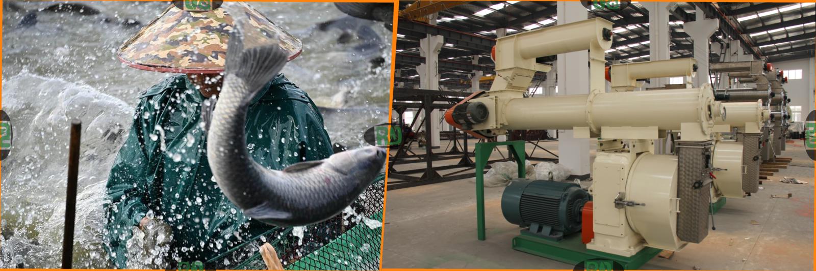 Fish Feed Extrusion Technology and Quality Control in Fish Feed Production Process