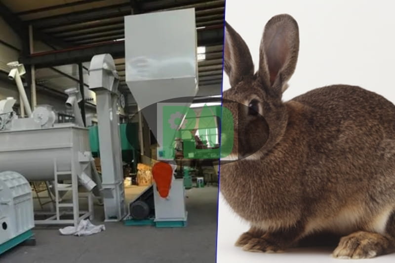 Uzbekistan Case Image