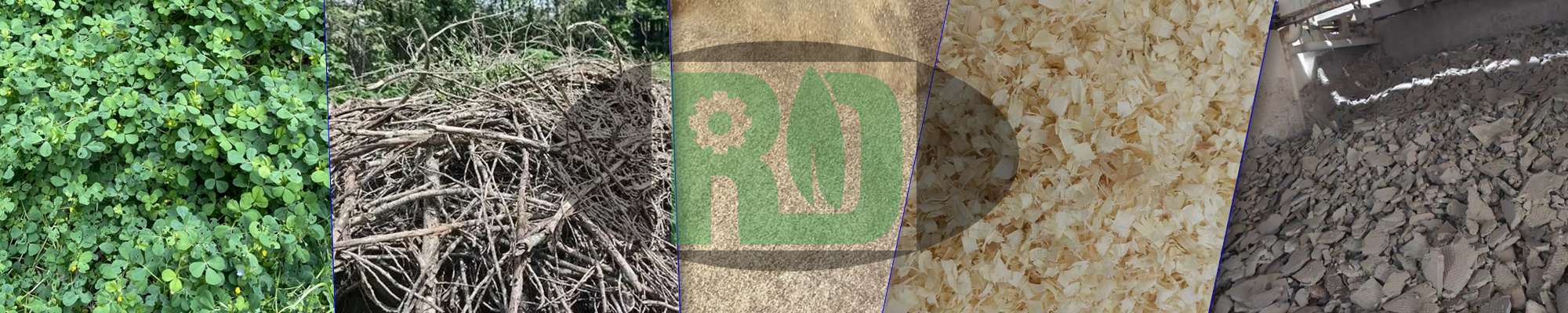 Biomass raw material processing